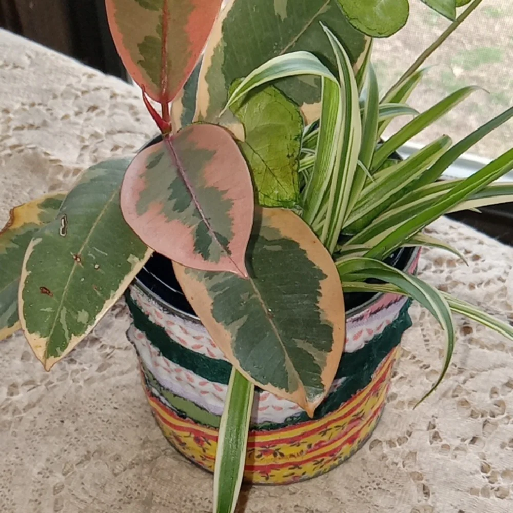 Colorful Boho Patchwork Planter with plants